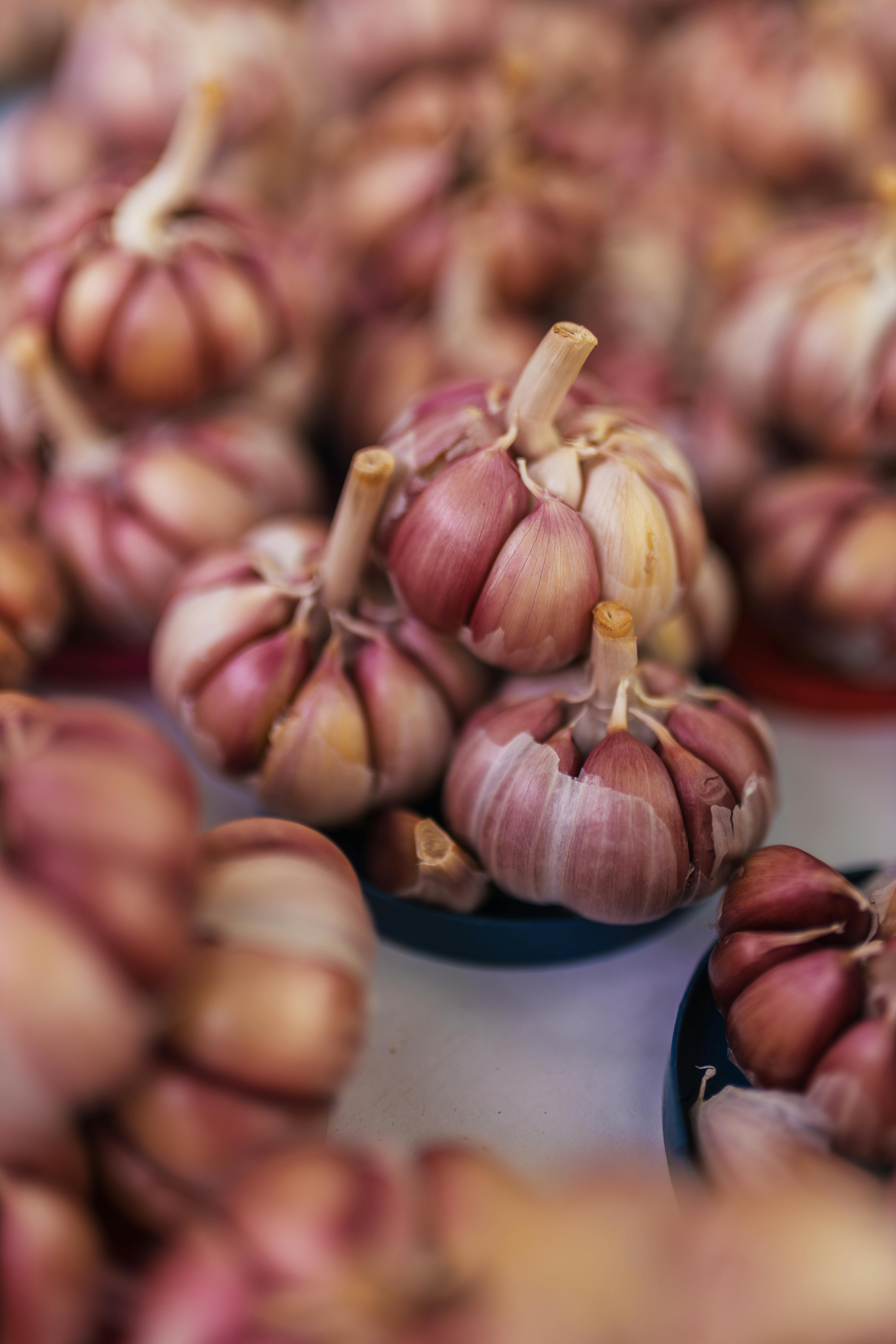 Garlic at market